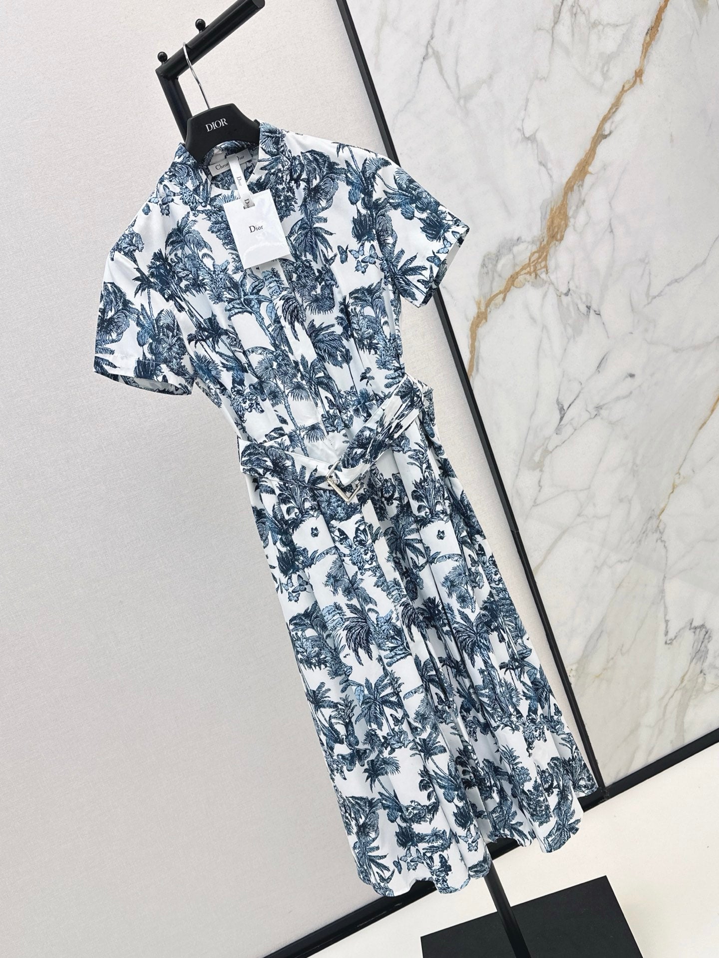 Dio 25ss print dress