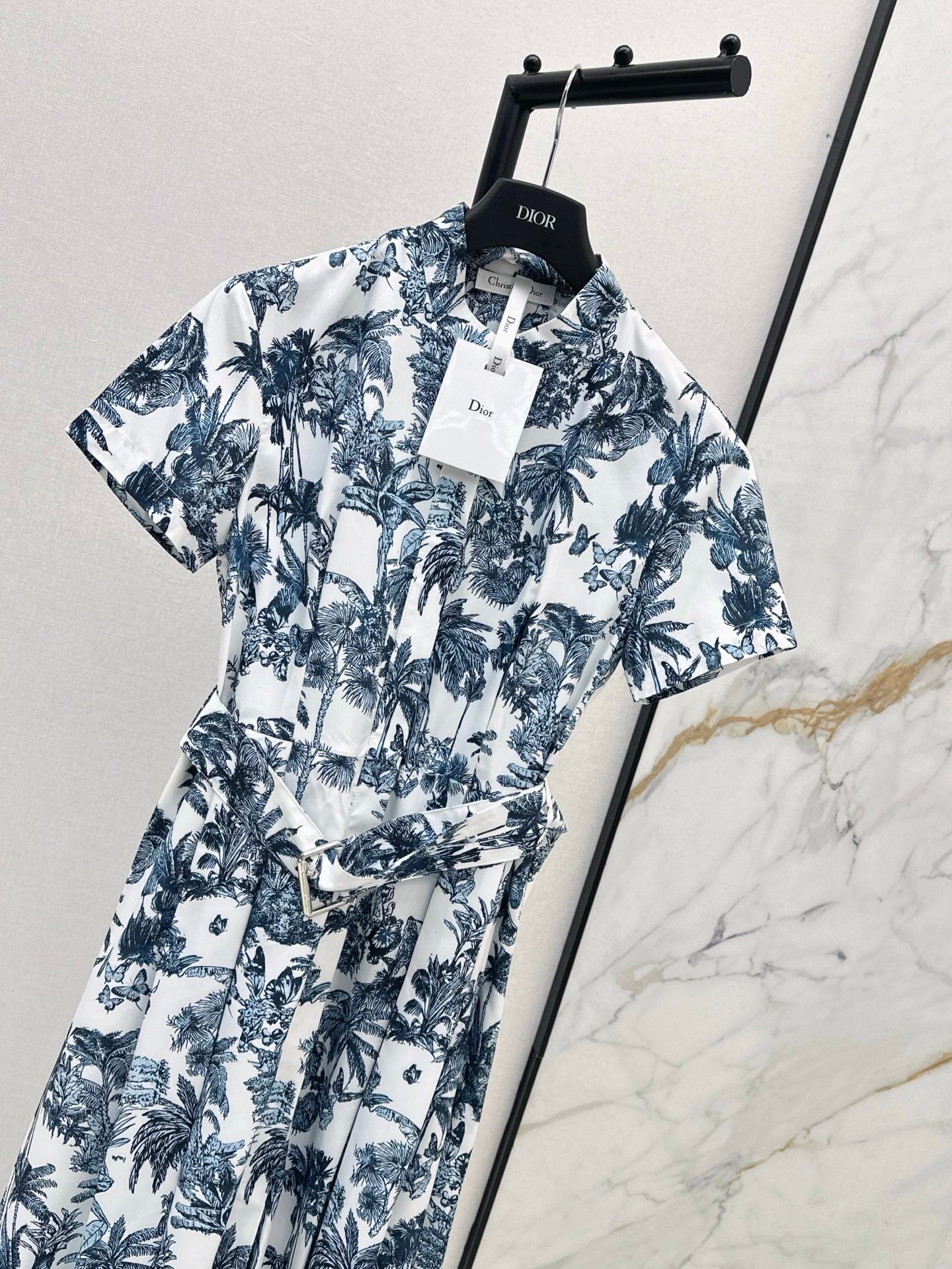 Dio 25ss print dress