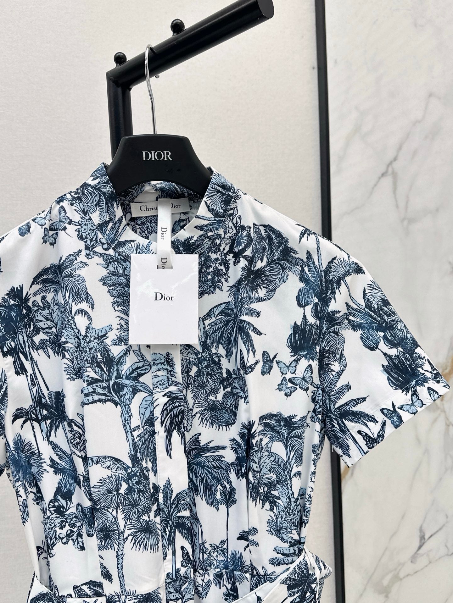 Dio 25ss print dress