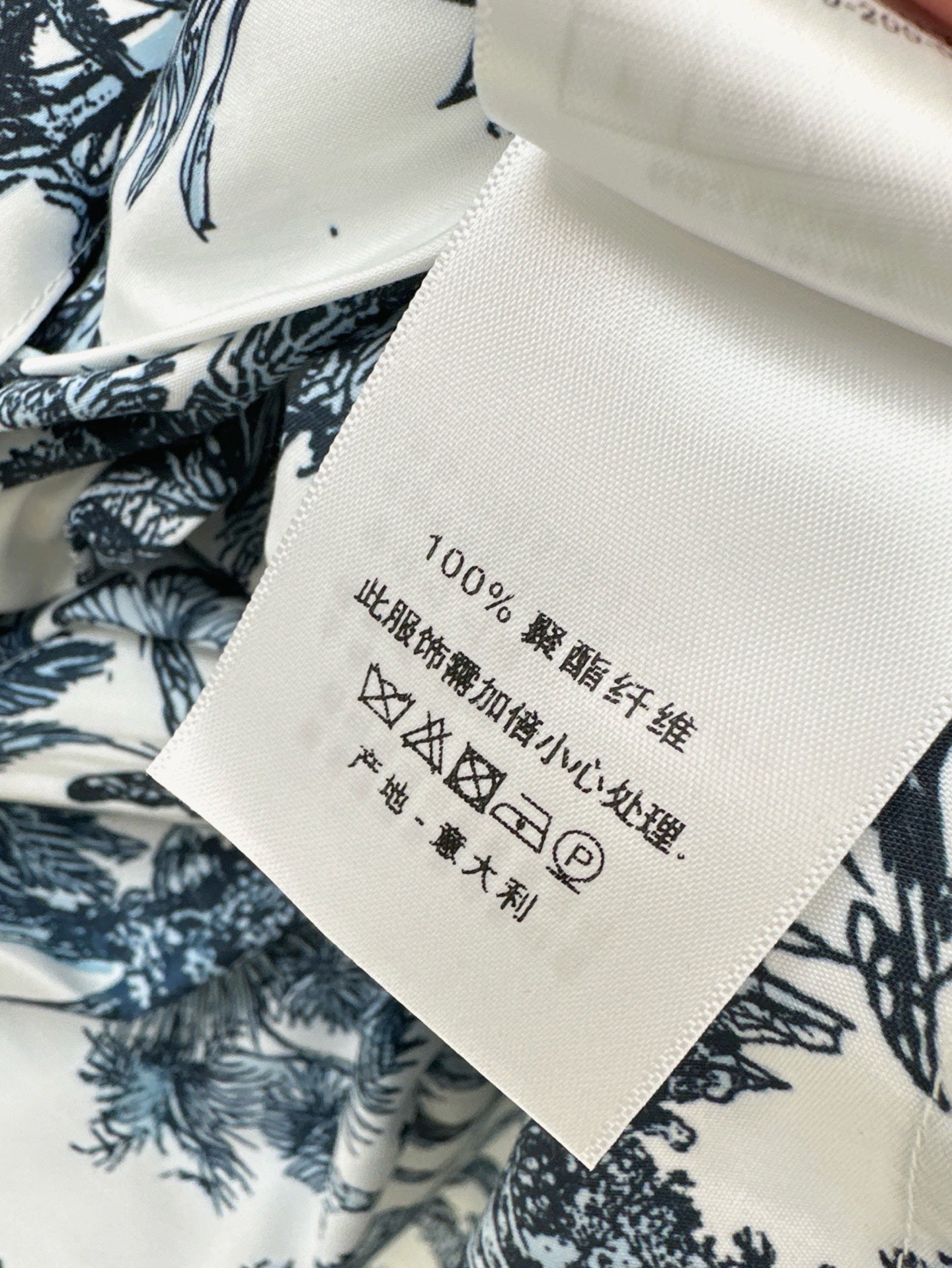 Dio 25ss print dress