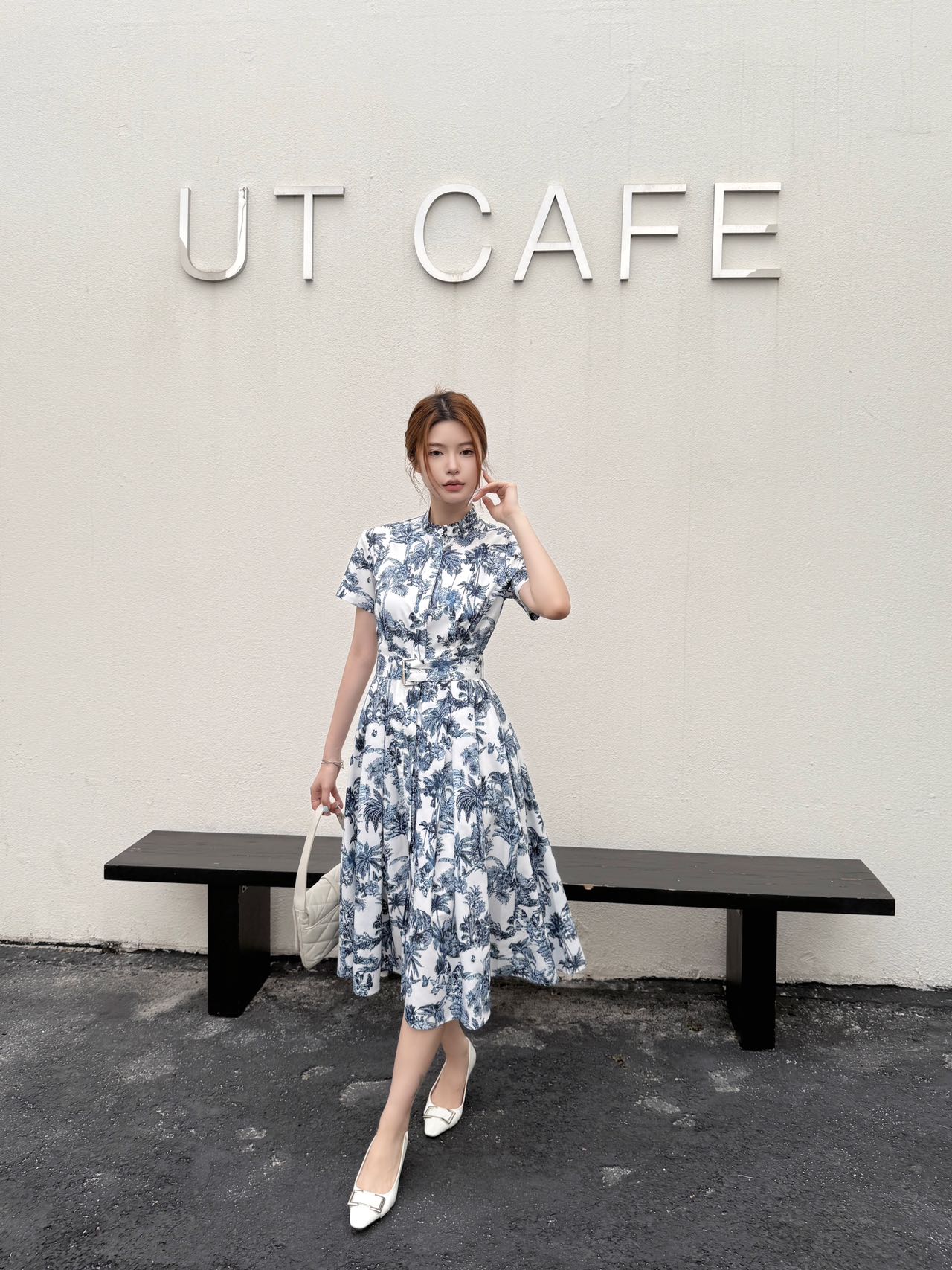 Dio 25ss print dress