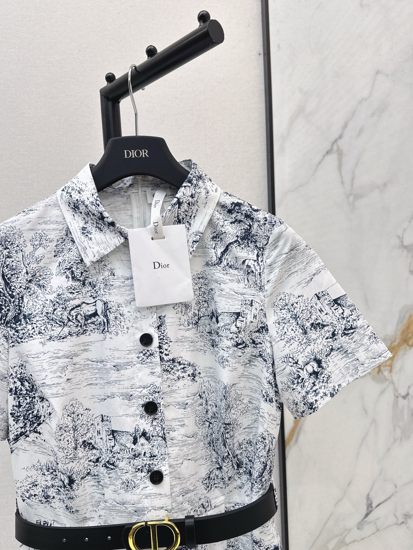 CD 25SS print shirt dress