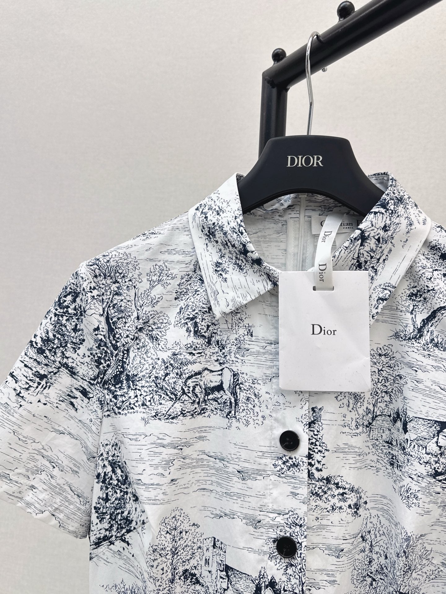 CD 25SS print shirt dress