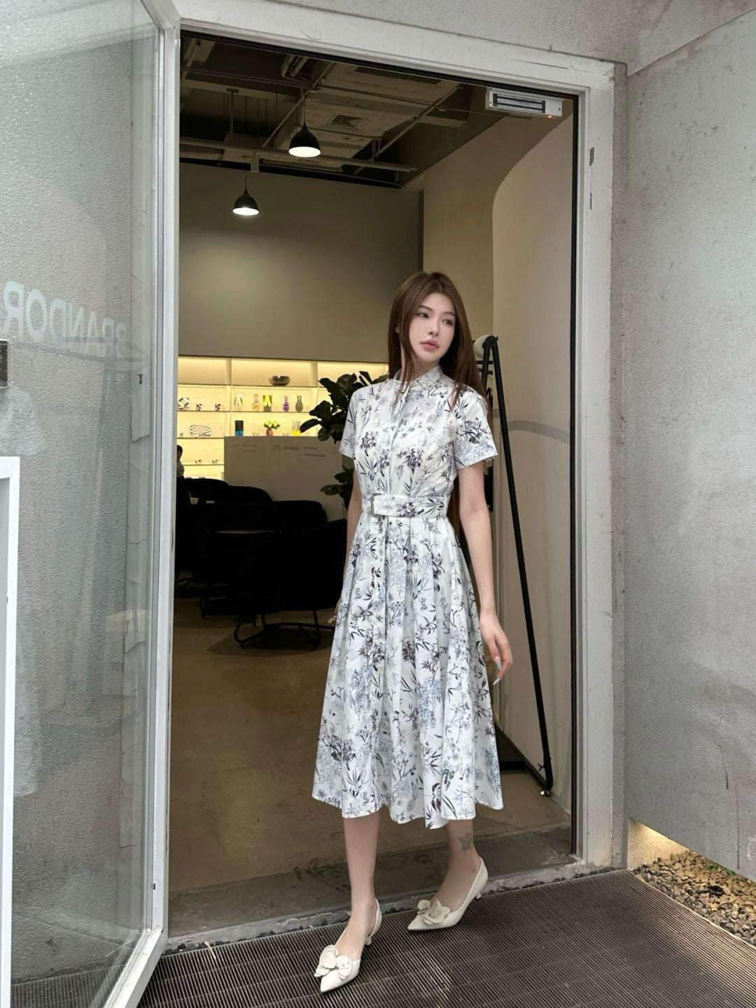 CD 25ss print dress