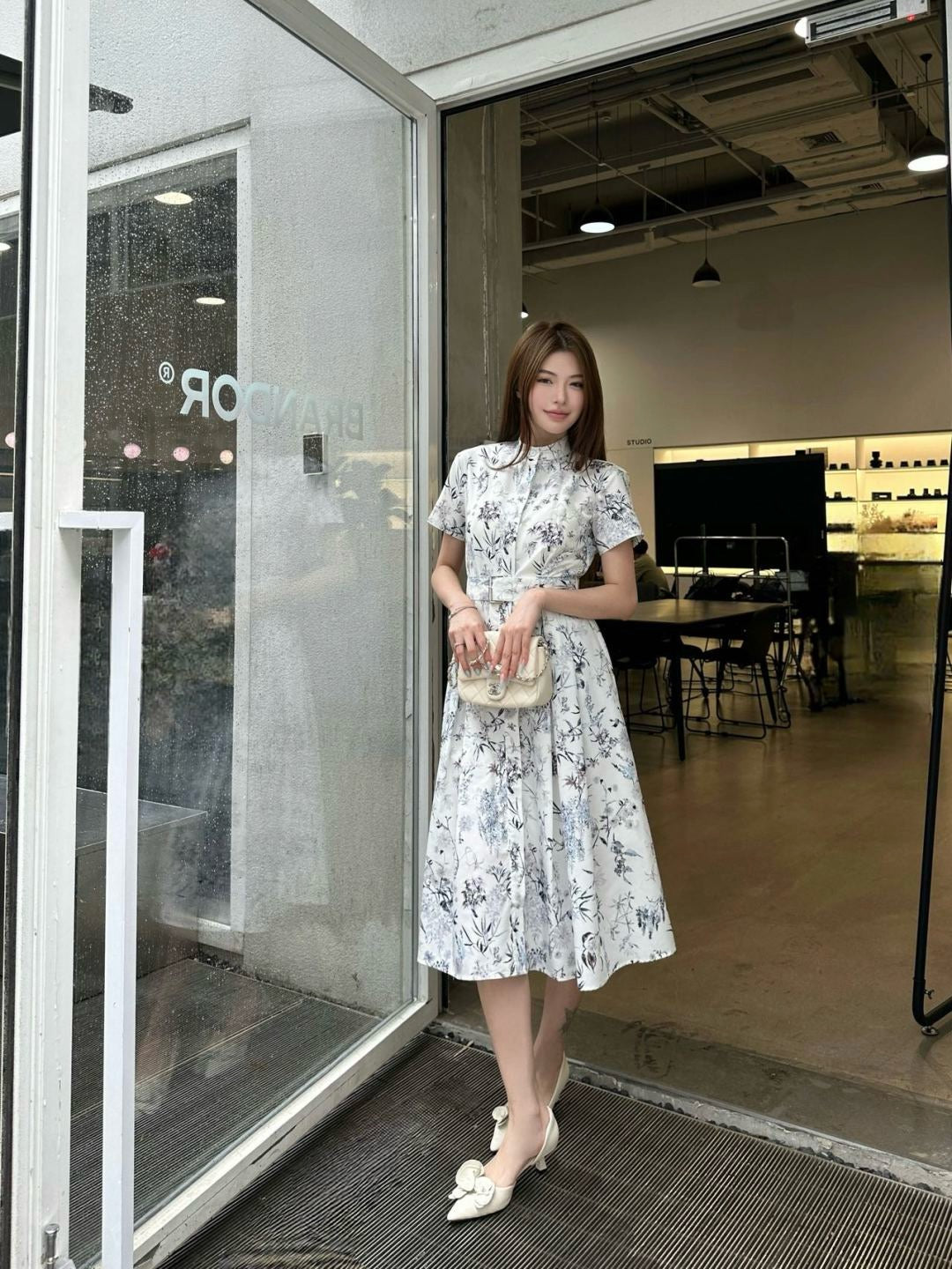 CD 25ss print dress