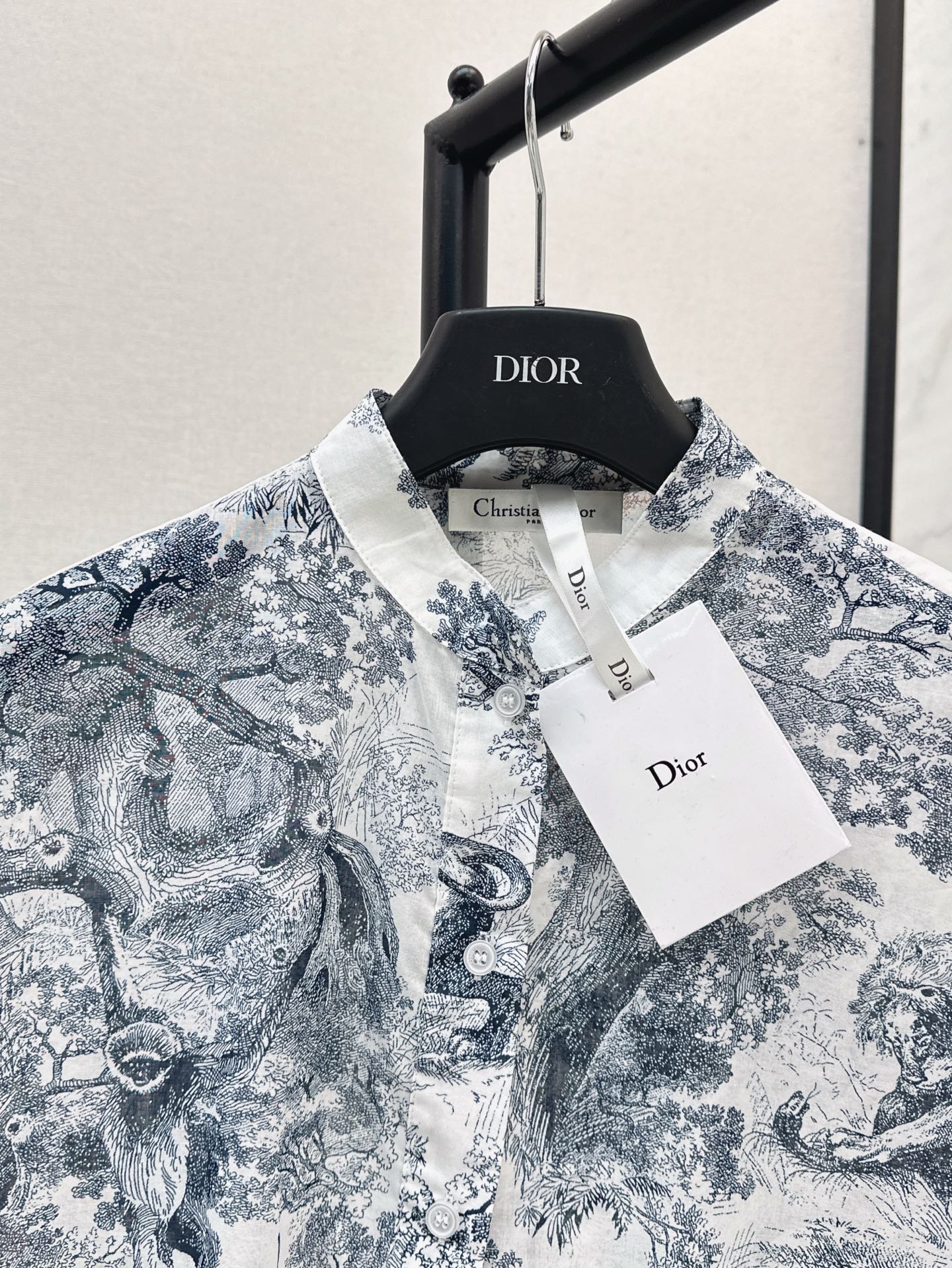 CD 25SS print dress