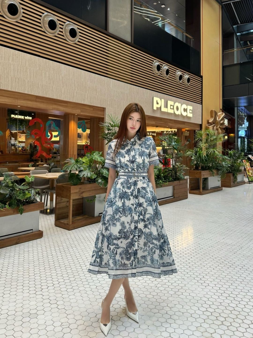 CD 25ss print dress