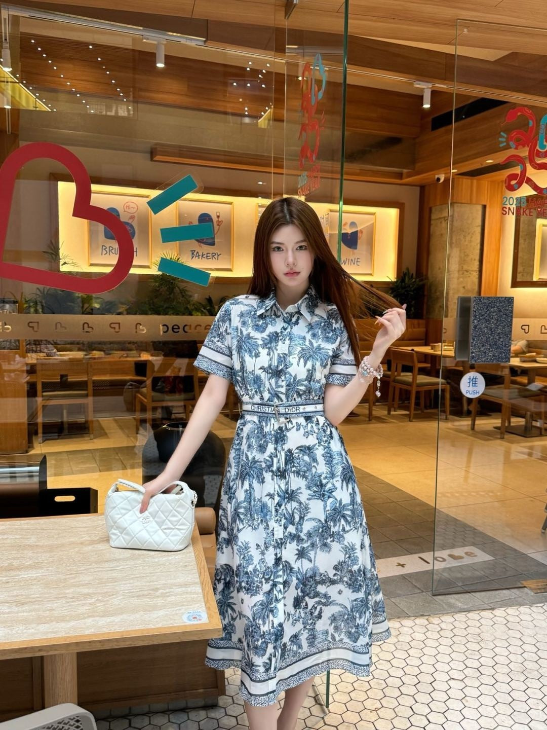CD 25ss print dress