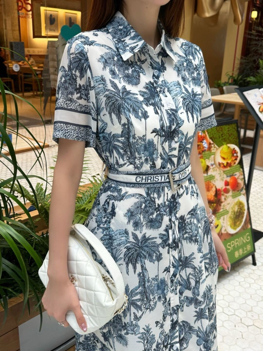 CD 25ss print dress
