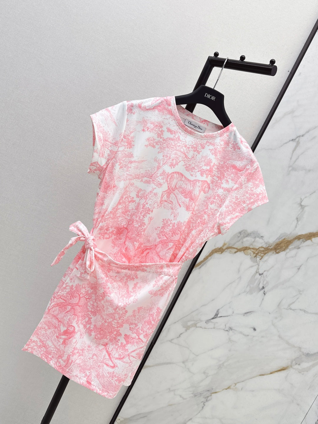 CD 25ss print dress