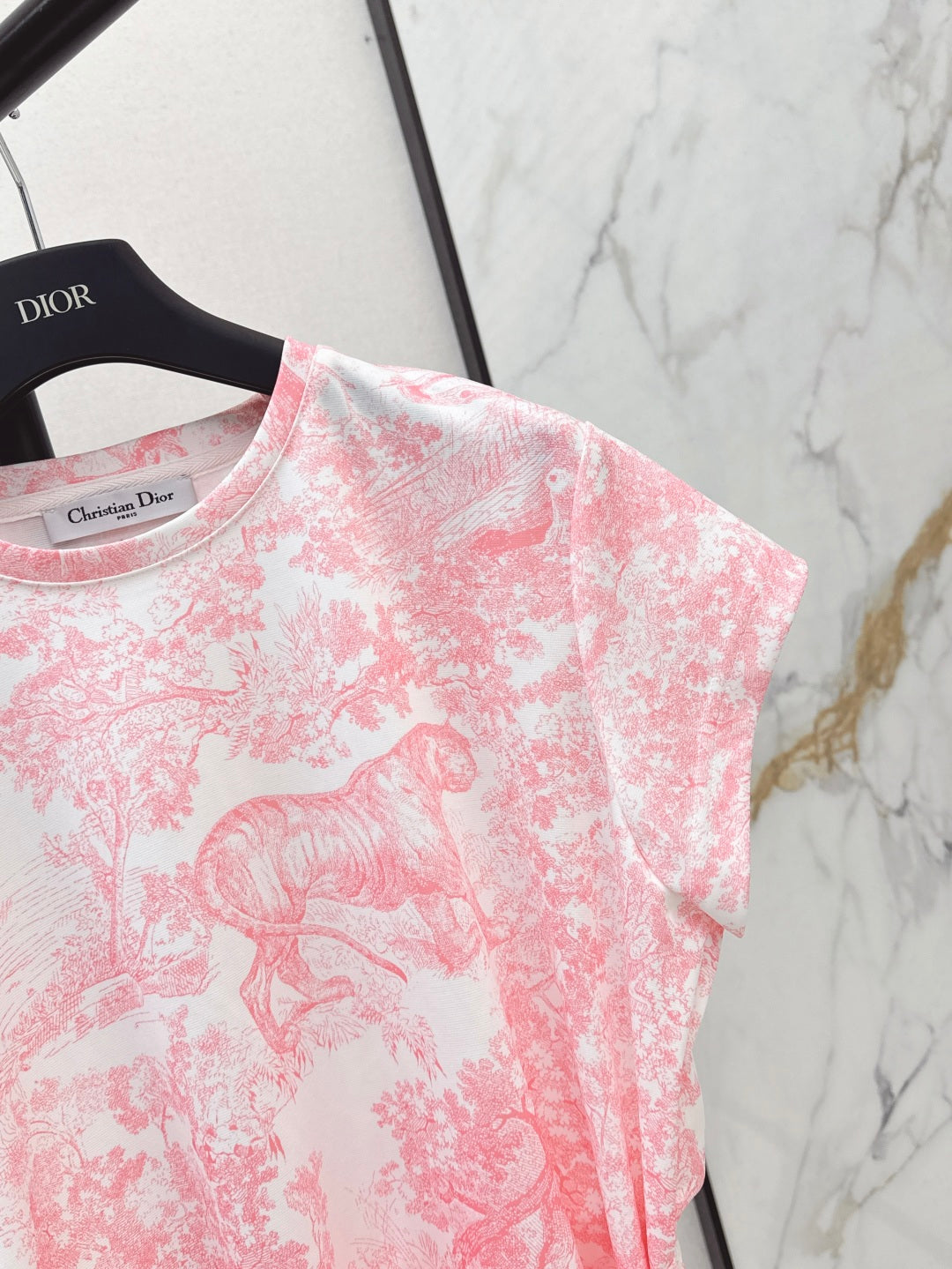 CD 25ss print dress