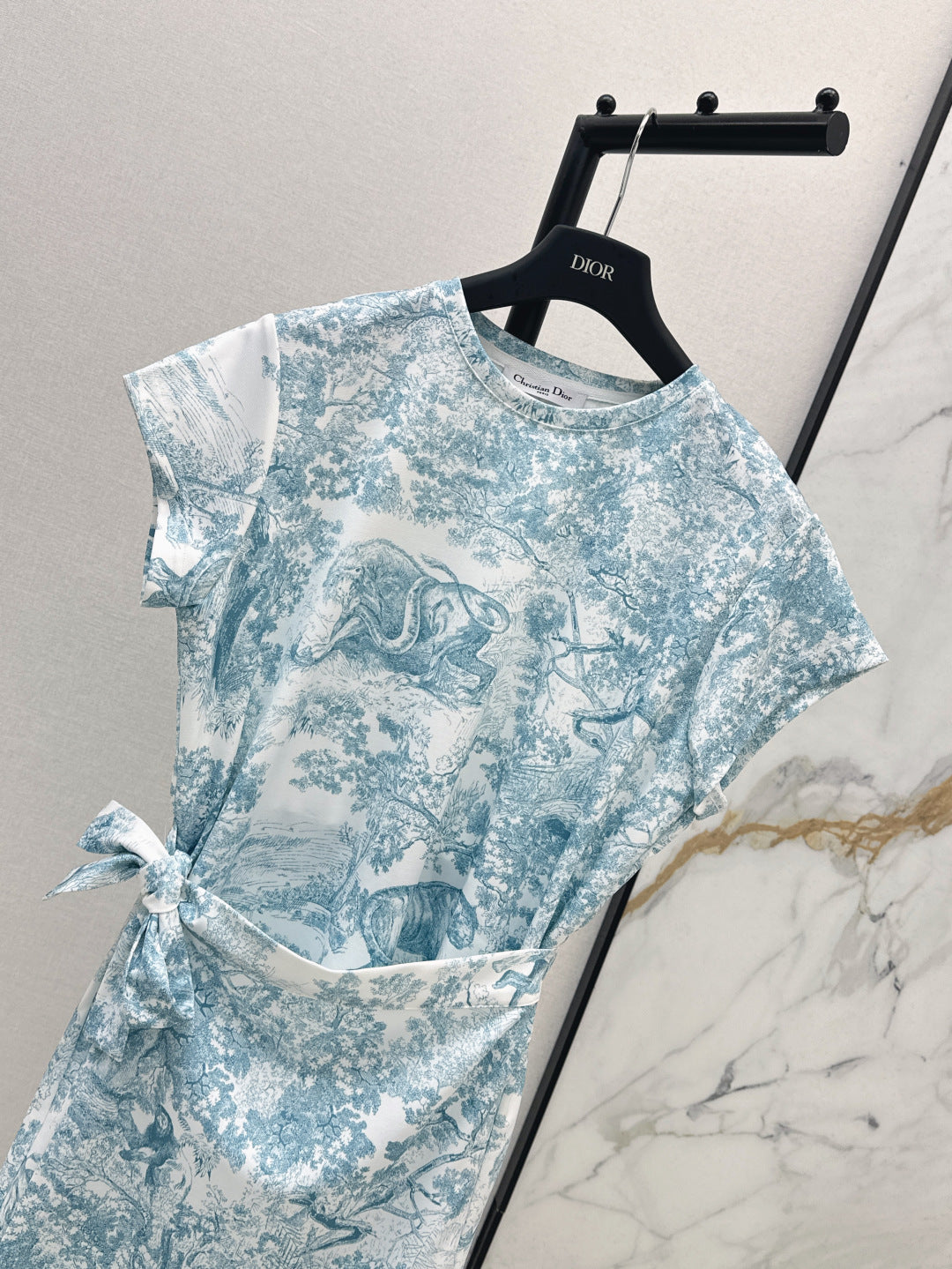 CD 25ss print dress