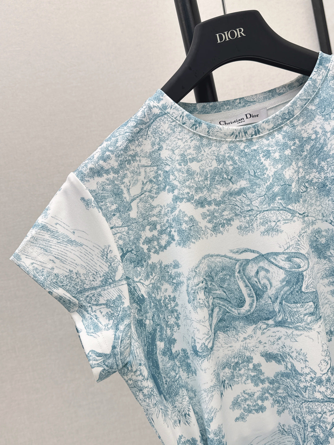 CD 25ss print dress