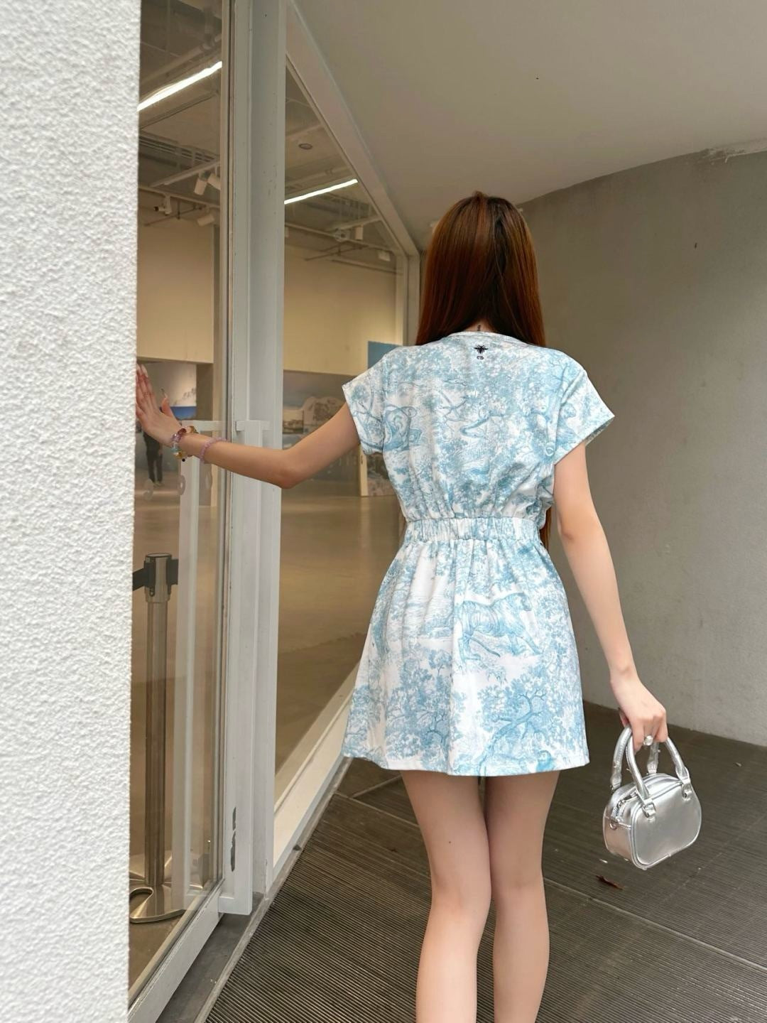 CD 25ss print dress