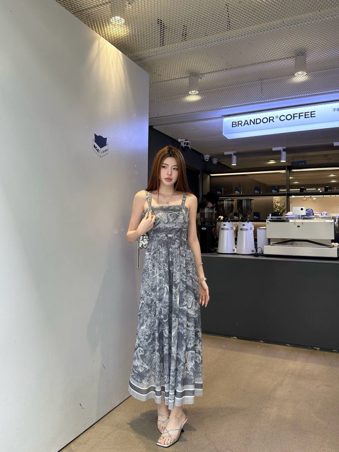 CD 25ss print dress