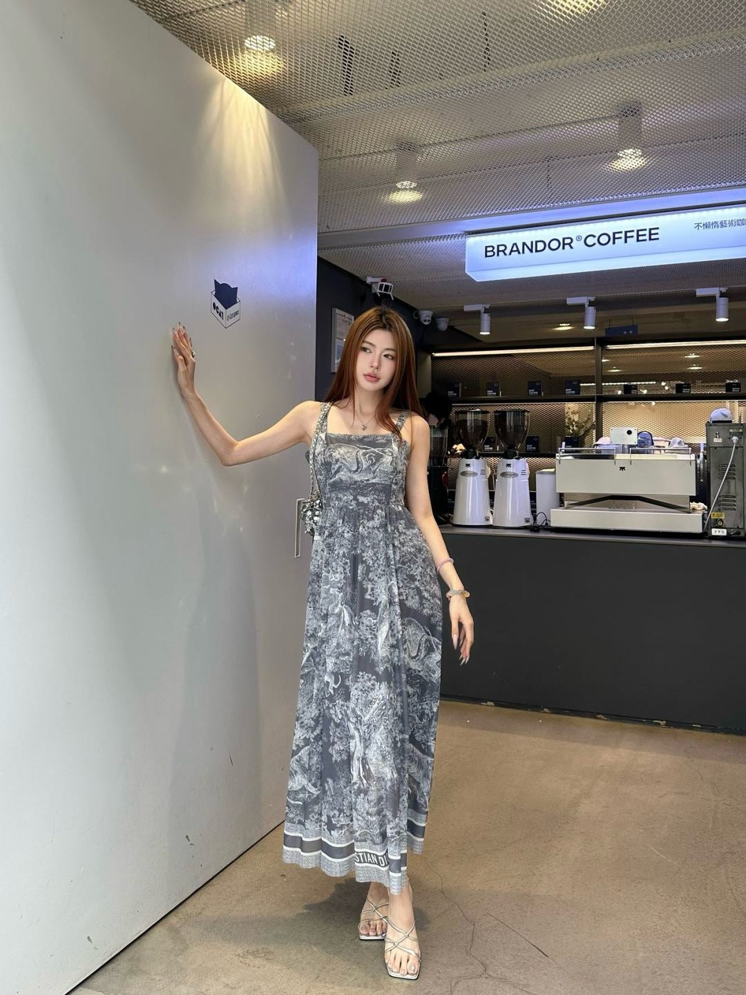 CD 25ss print dress