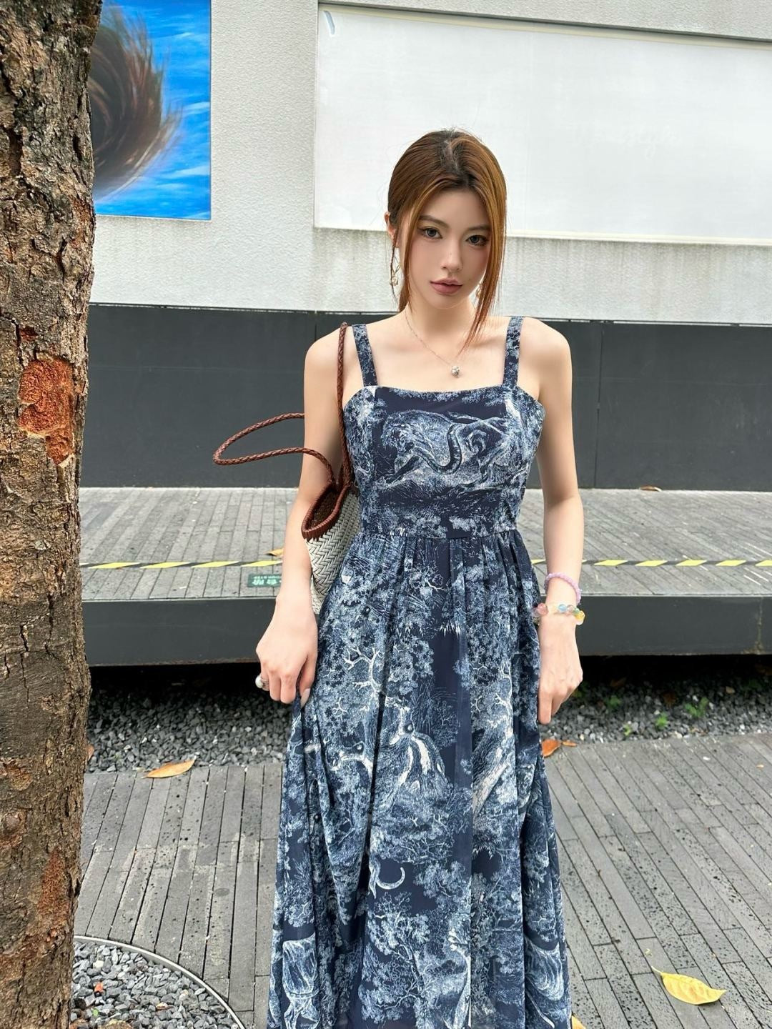 CD 25ss print dress