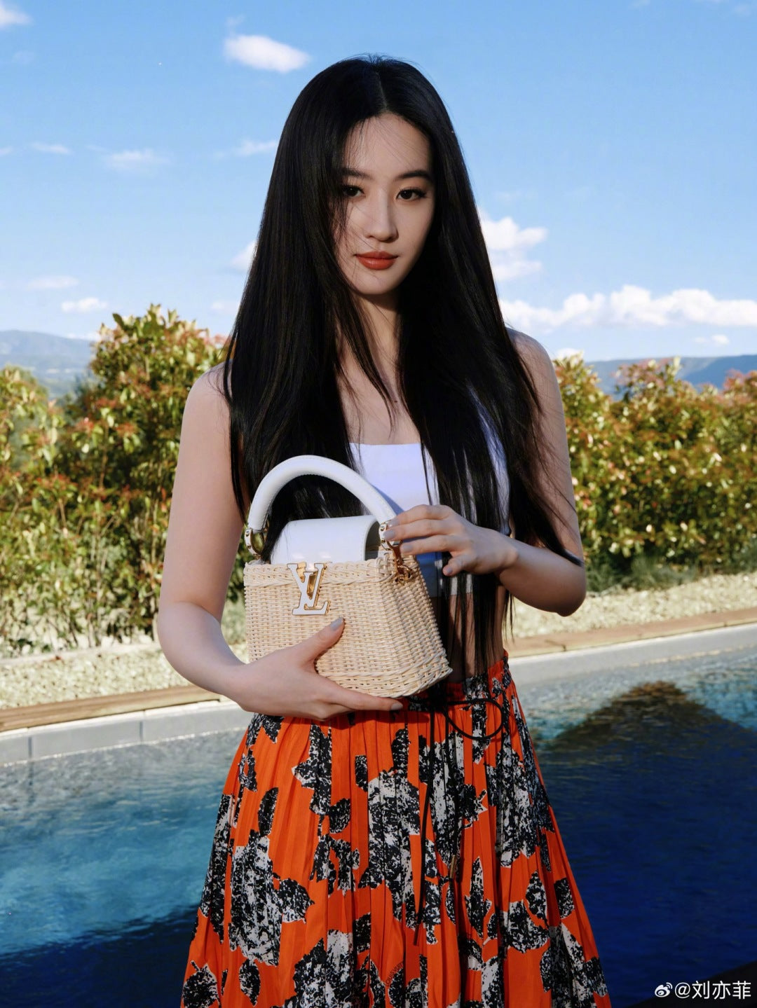 Louis 25ss print skirt