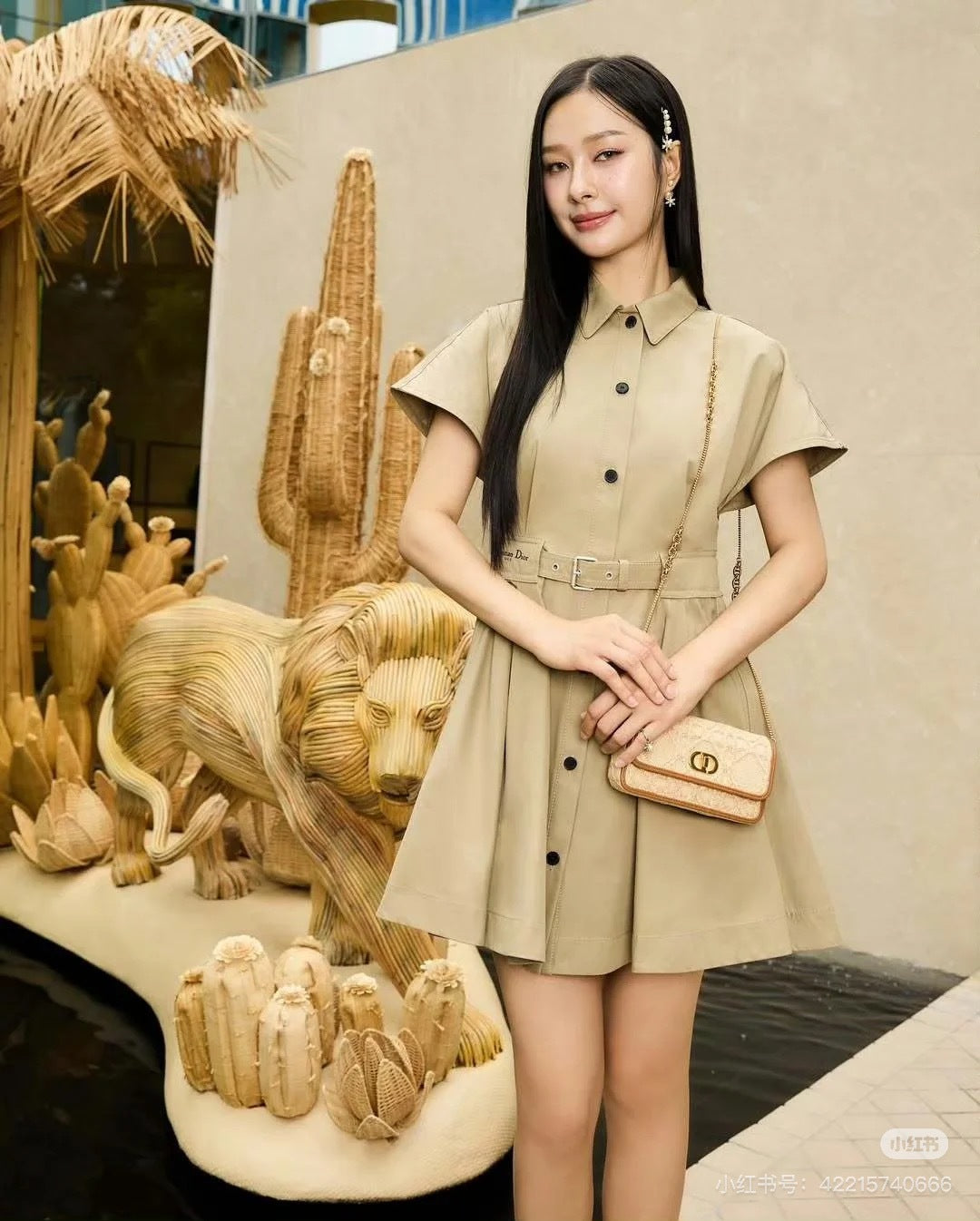 CD 25ss shirt dress