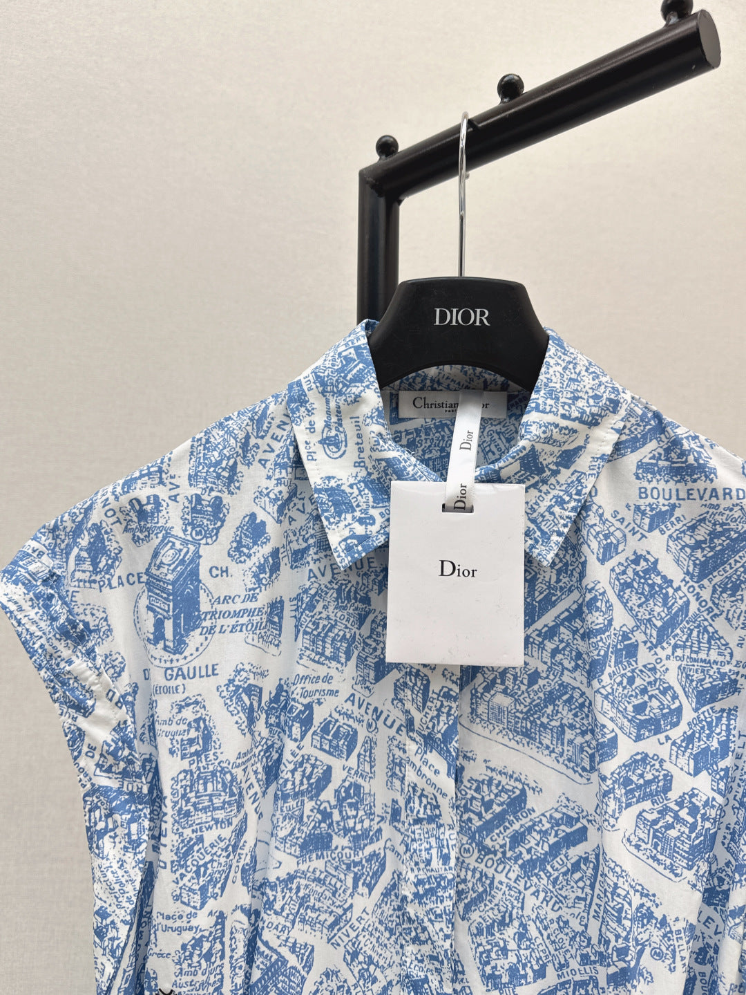 CD 25fw printed dress