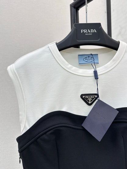 Pr 25SS Colorblocked dress