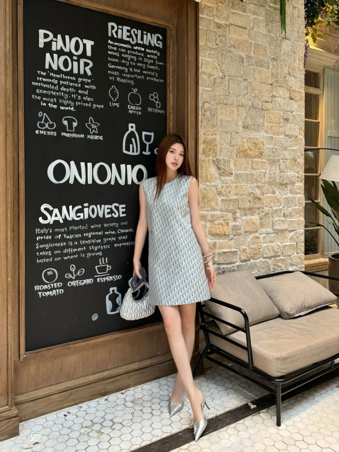 CD 25ss monogram dress