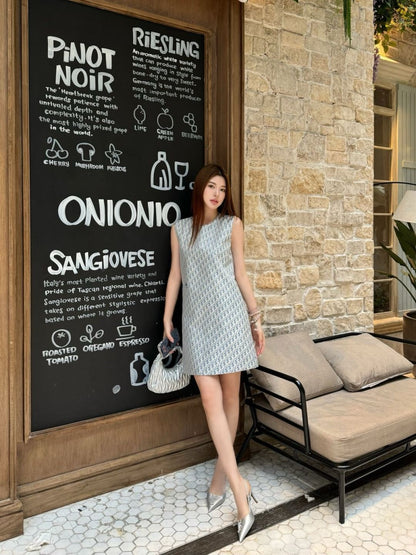 CD 25ss monogram dress
