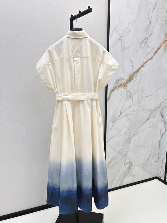 CD 25ss shirt dress