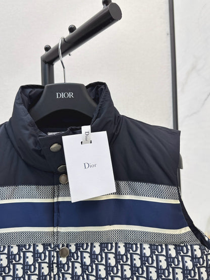 CD 25fw down vest