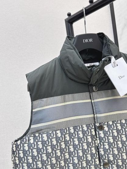 CD 25fw down vest